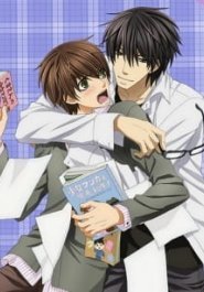 Sekaiichi Hatsukoi Valentine-hen